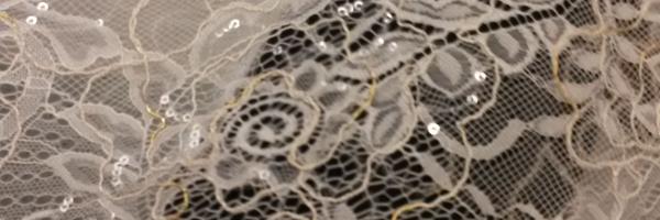 Laura_Canness Profile Banner