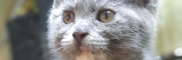 khailanee's profile banner image
