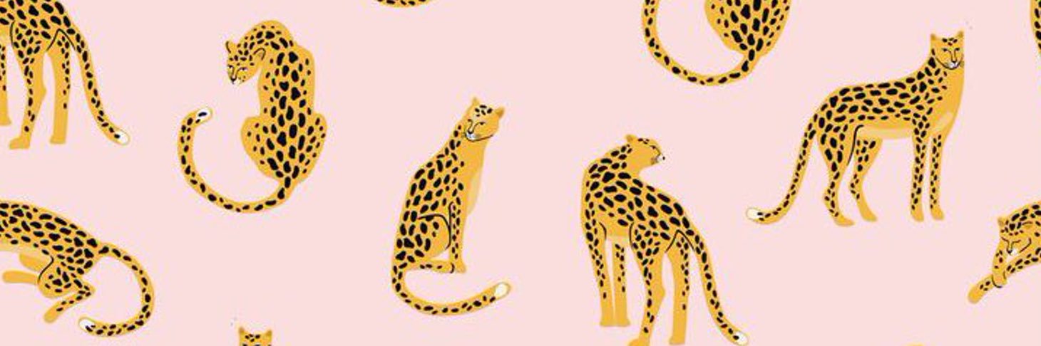 kctaughtyou's profile banner image