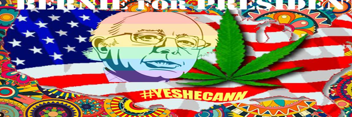 CannaBernie's profile banner image