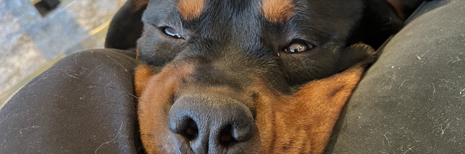 JasonDavis_'s profile banner image