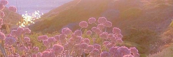 liii__8 Profile Banner