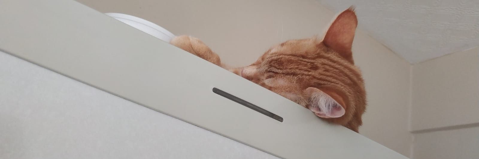 FuatKdg's profile banner image