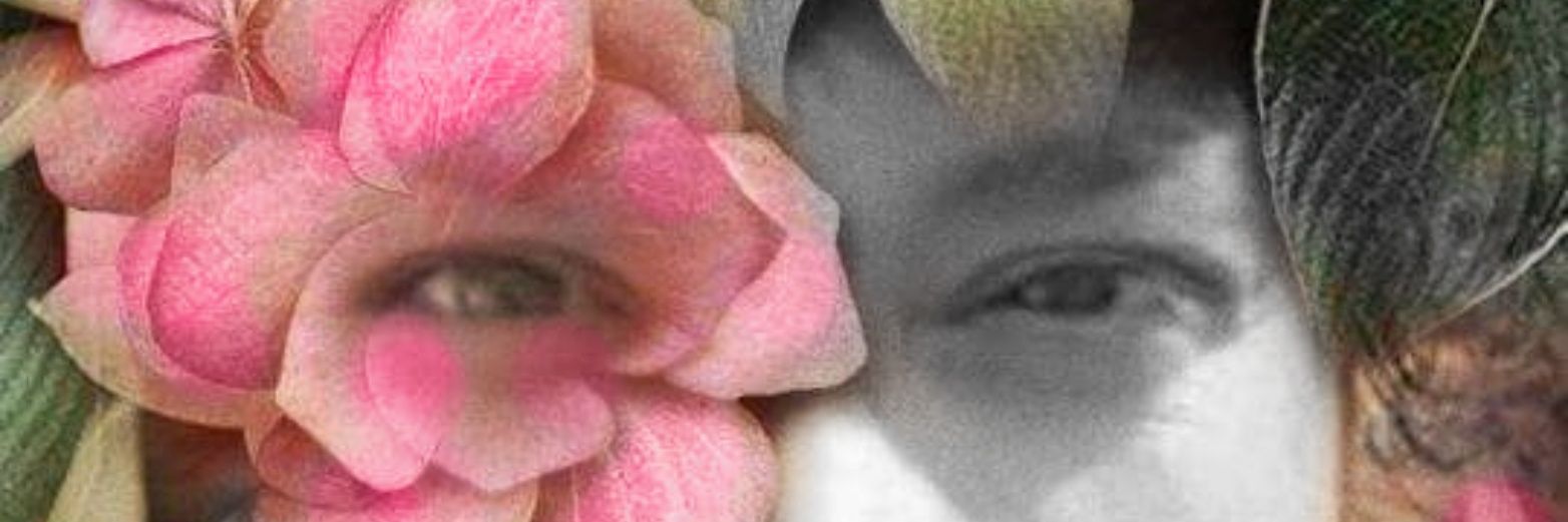 mimivila1ra's profile banner image