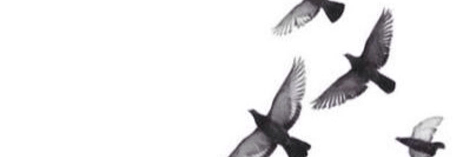 X911xXx's profile banner image