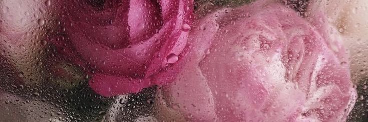 ClaritzaMJ5's profile banner image