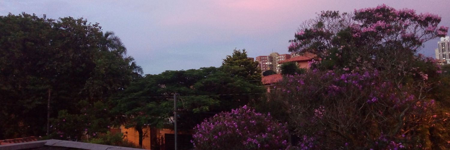 brn_kitsut's profile banner image