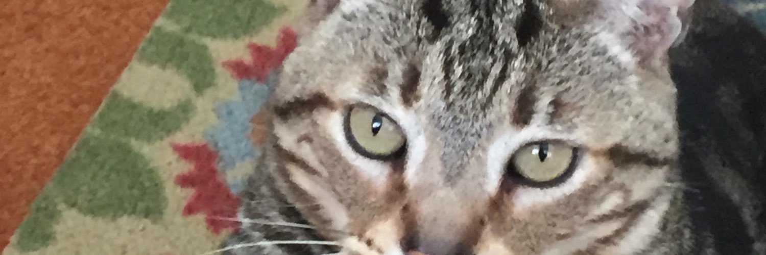 AnnaJesus5's profile banner image