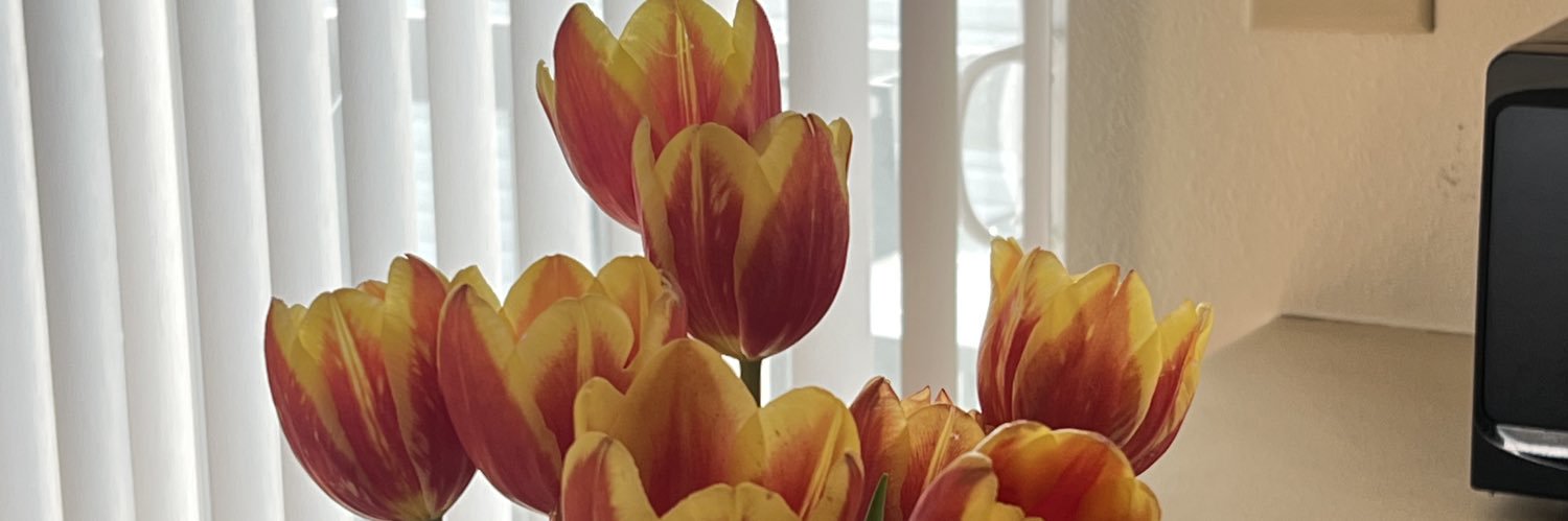 HannahBrenner3's profile banner image