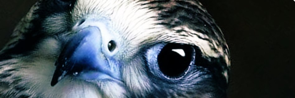 kh97elid's profile banner image