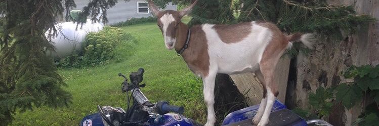 jake_adelmeyer's profile banner image