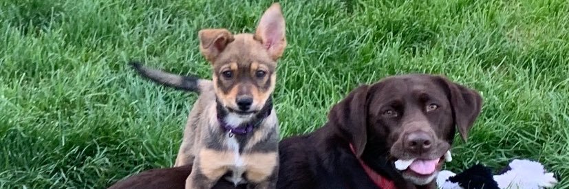 annalee_marks's profile banner image