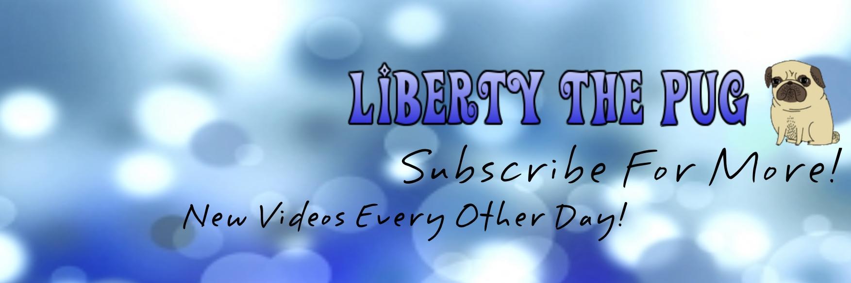 LibertyThePug's profile banner image