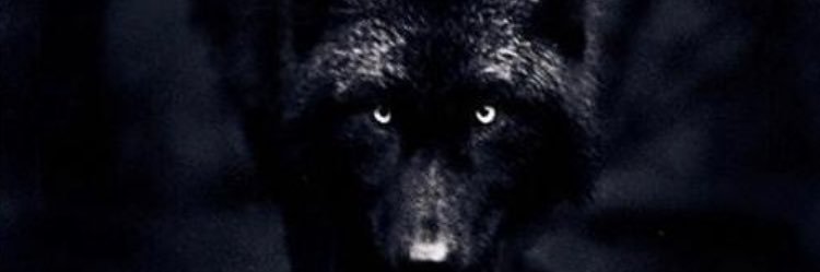 Bwesley94's profile banner image