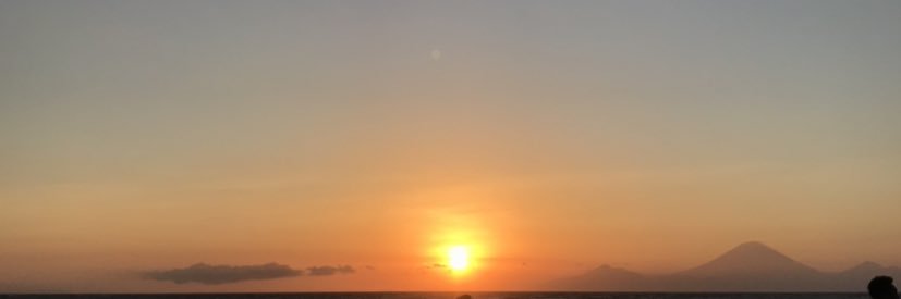 emilynorton2's profile banner image