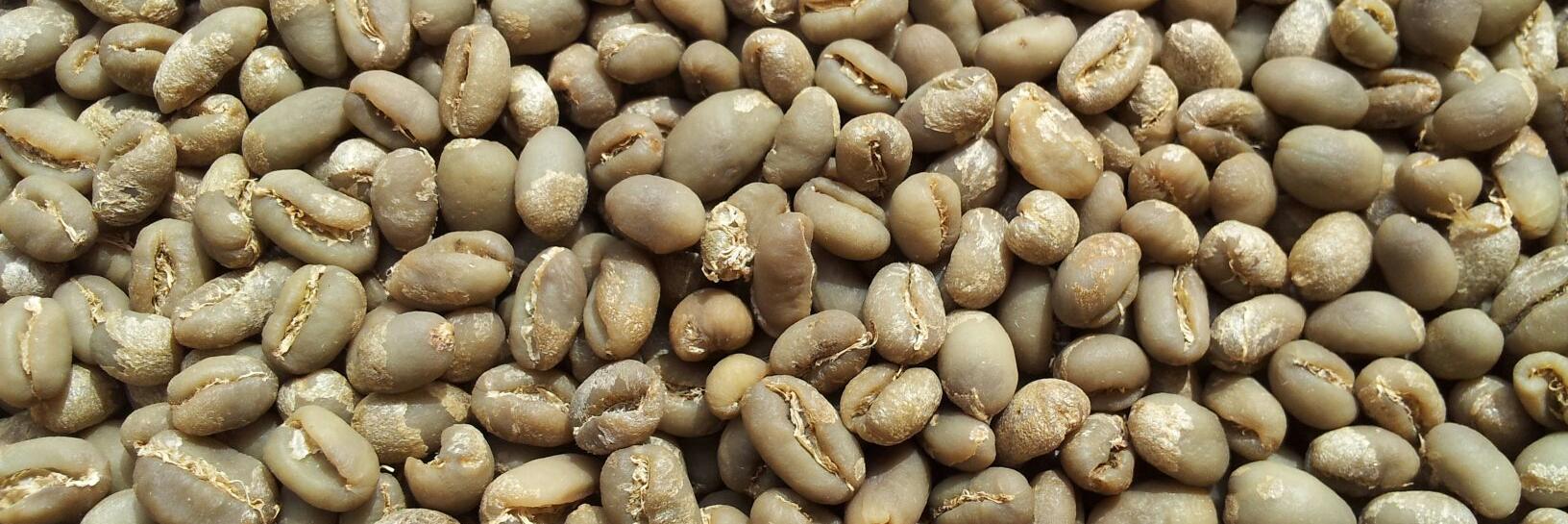 TinoCoffee's profile banner image
