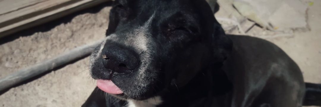 EricNem04's profile banner image