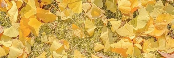 eyagie96's profile banner image