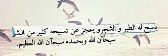 ghadi__3__'s profile banner image