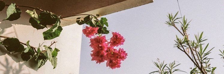 a_lli02's profile banner image