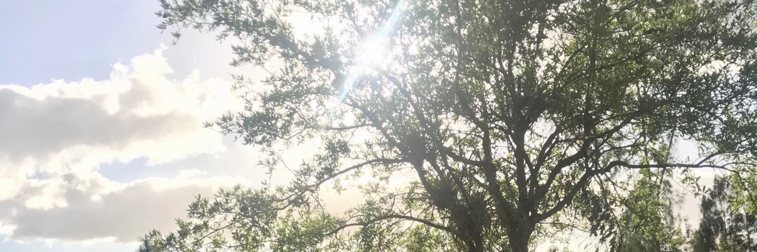 vickyvilarchao's profile banner image