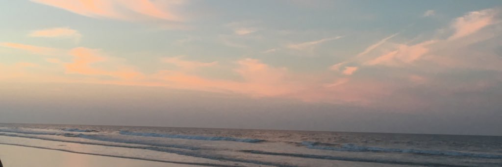 bri_maclean's profile banner image