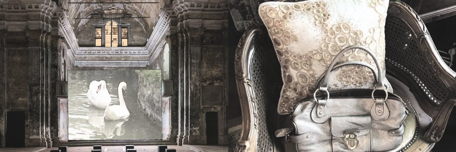 cornceited's profile banner image