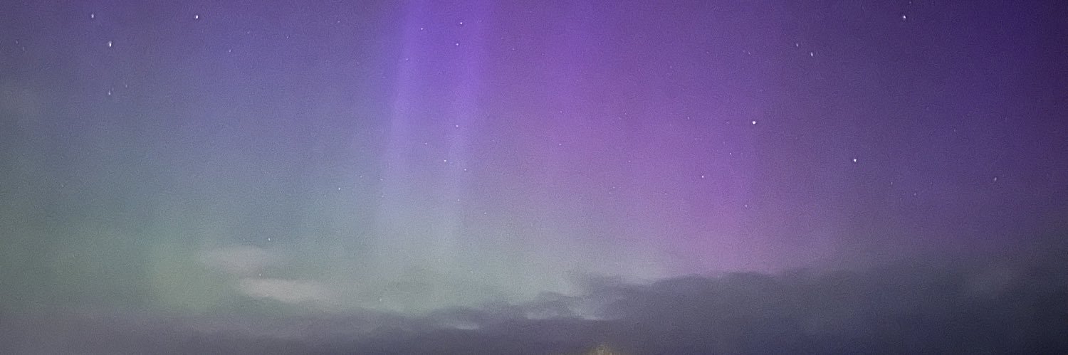 SaraLT86's profile banner image