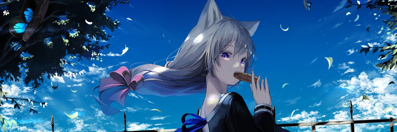 Racoon 🥝 banner