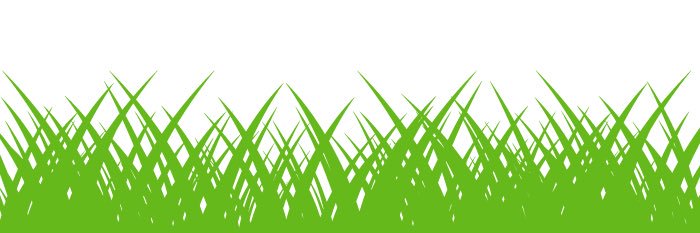 herbainutilis's profile banner image