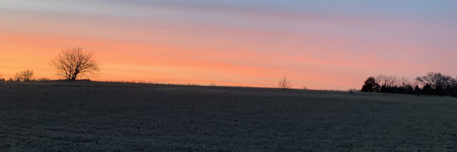 harleighannee's profile banner image