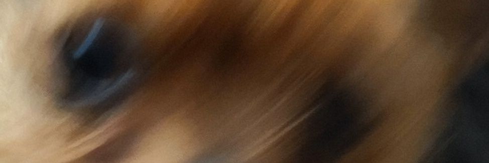 simondiciendo's profile banner image