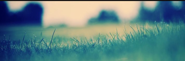 Daniel69931312's profile banner image