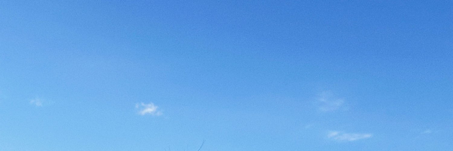pheromonz's profile banner image