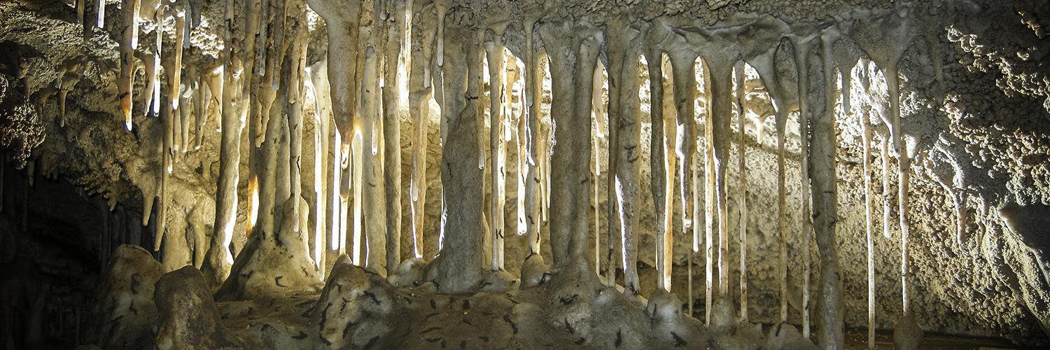 OregonCavesNPS's profile banner image
