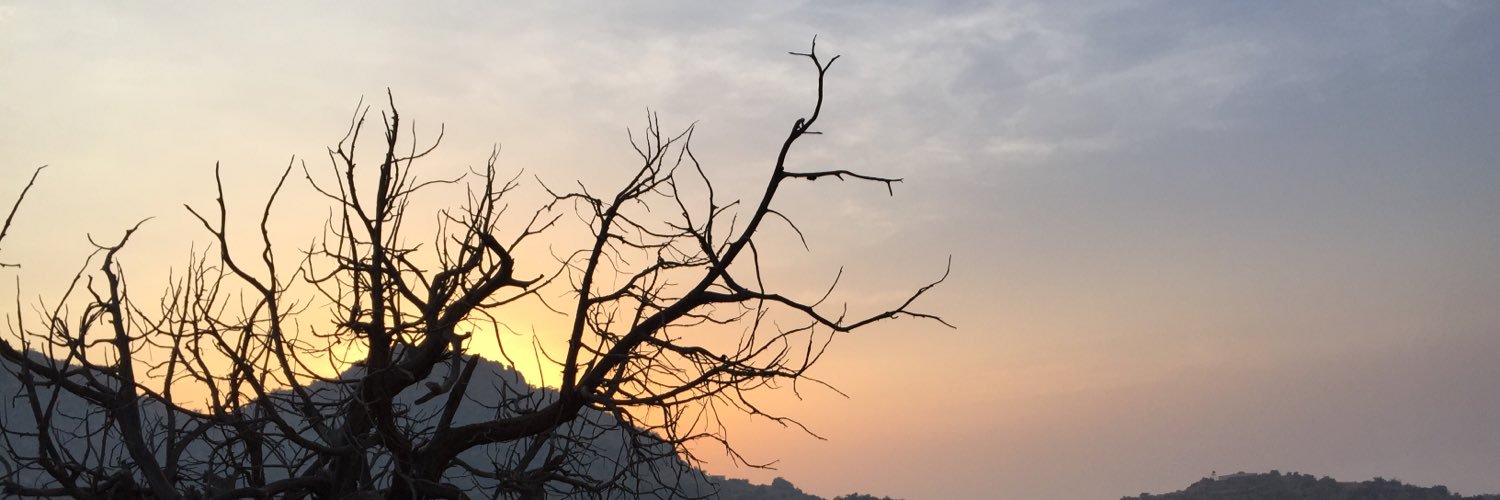 mstor19's profile banner image