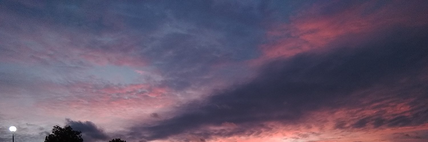 anabeeyaa's profile banner image