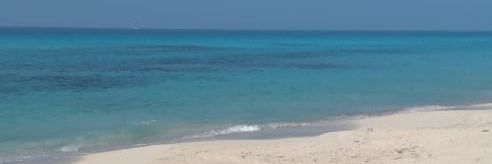 zizoo mohamed banner