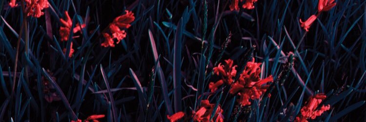 aymnidk's profile banner image