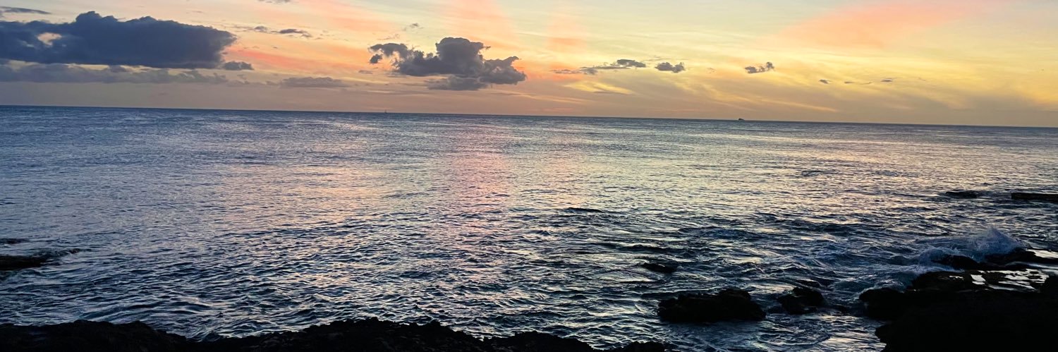 Kari Baransky banner