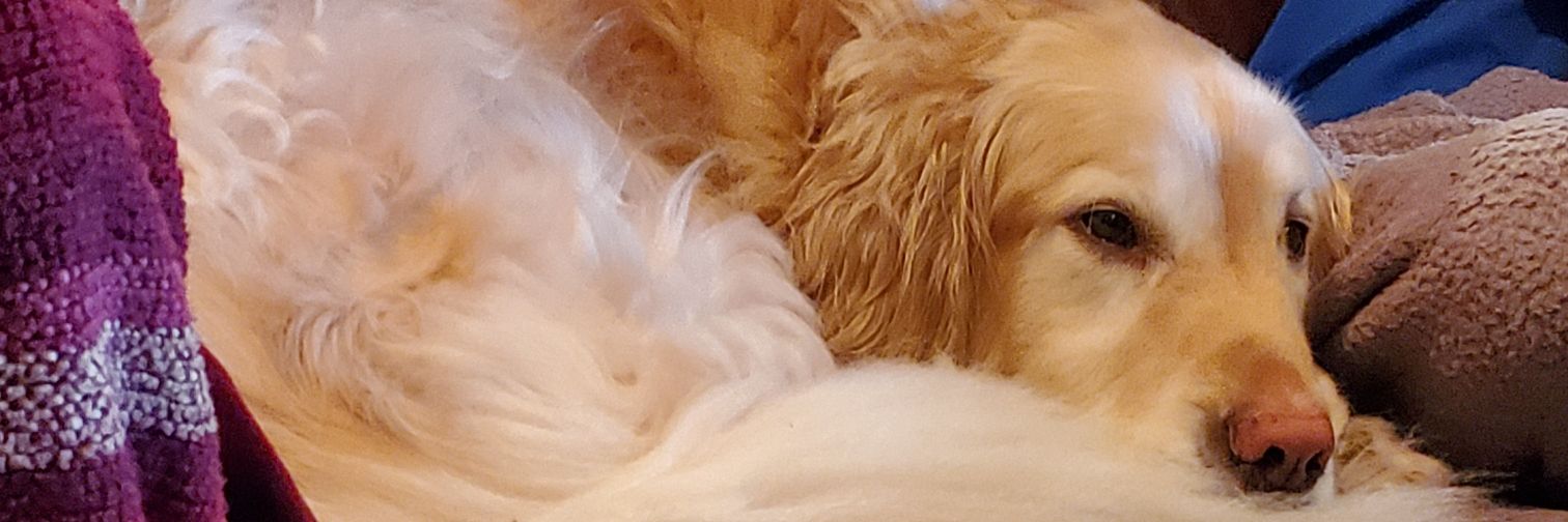 Alitt30's profile banner image