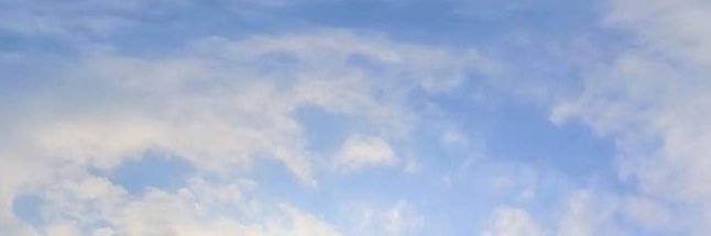 給他蘿蔔 banner