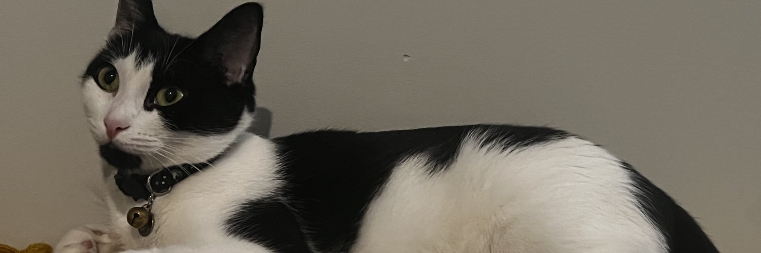 waitstopwhat's profile banner image