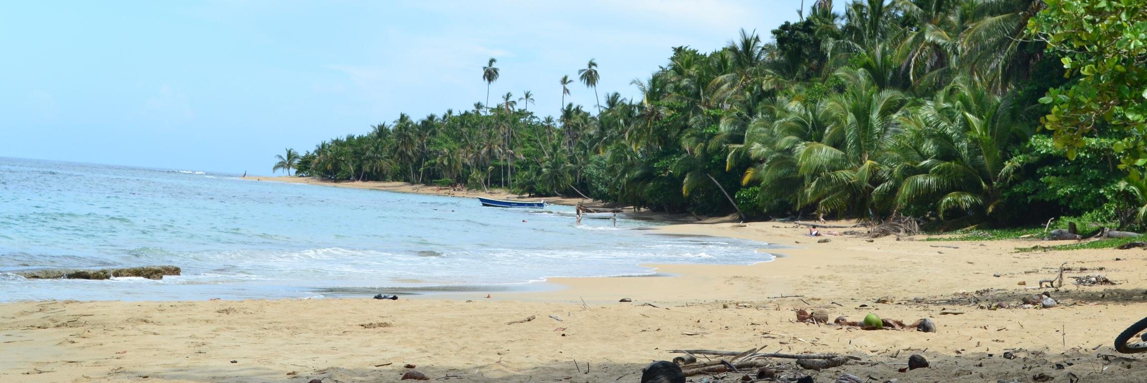 Vilma Gonzalez banner