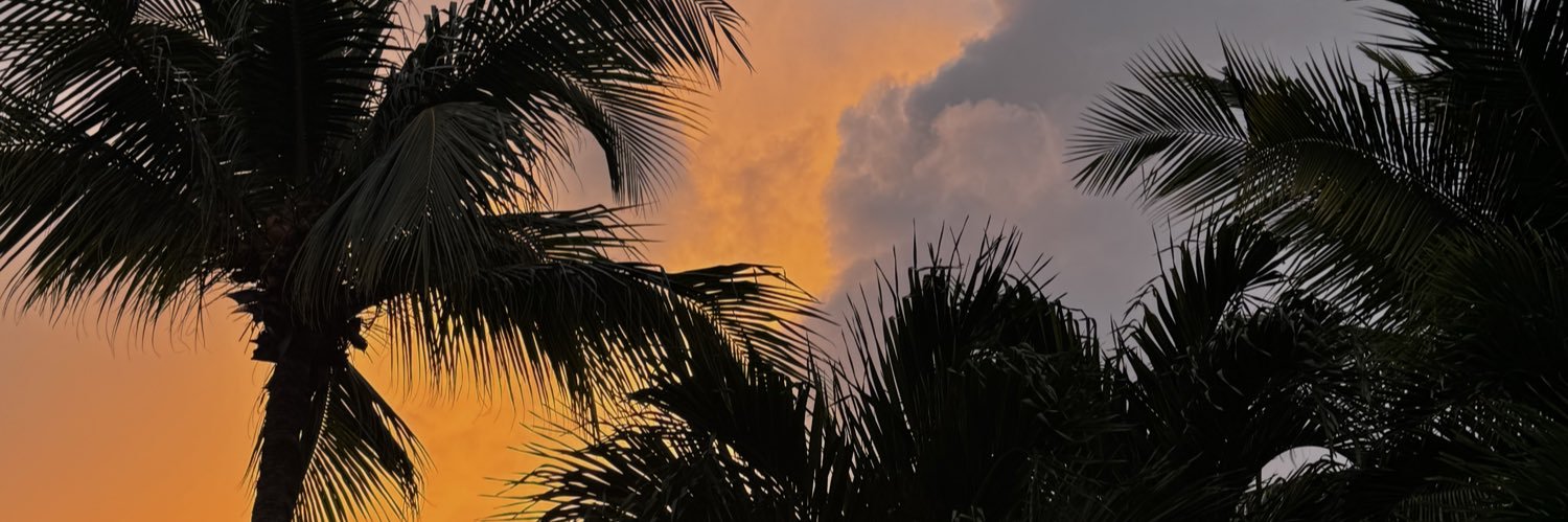 maytefabiola's profile banner image