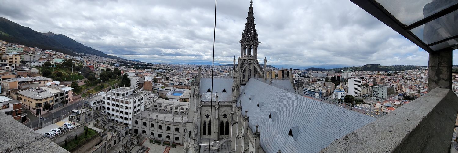 Gabriela Larreátegui banner