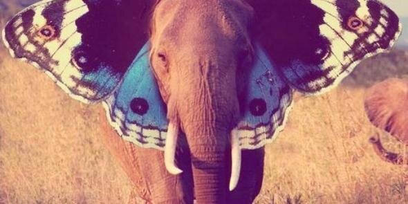 alexmmroo's profile banner image