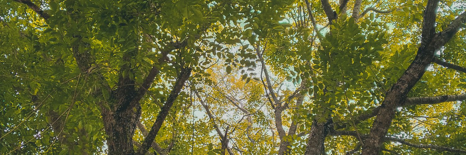 itsmekxnneth's profile banner image