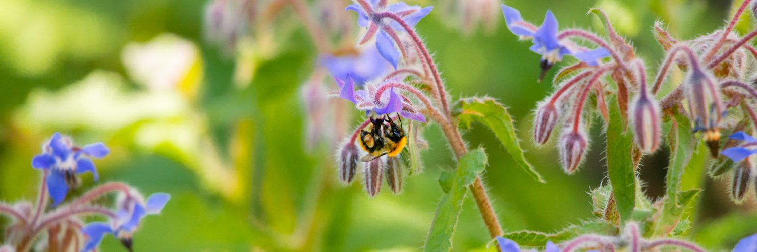 UoE Sustainability banner
