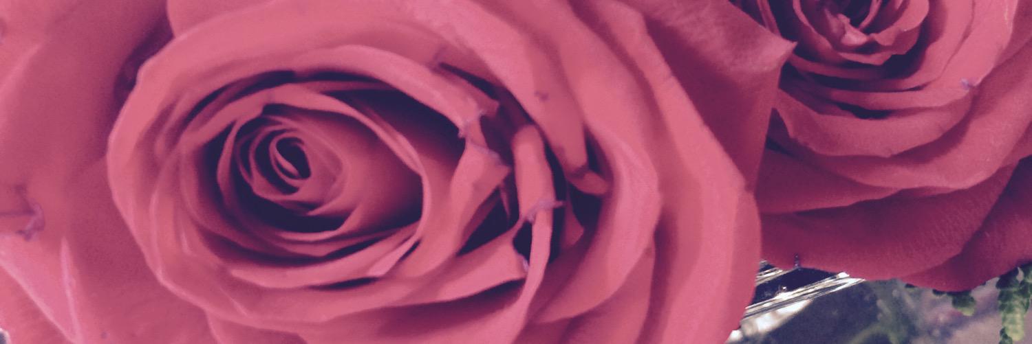 hannagross's profile banner image